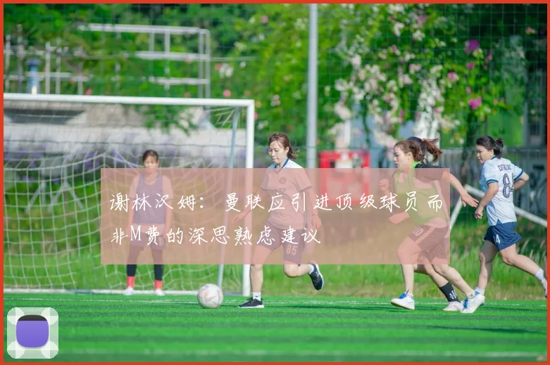 谢林汉姆：曼联应引进顶级球员而非M费的深思熟虑建议